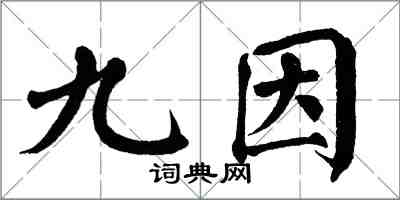 翁闿运九因楷书怎么写