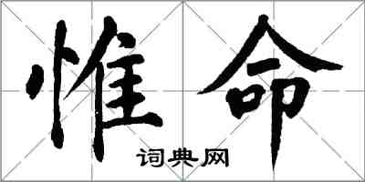 翁闿运惟命楷书怎么写