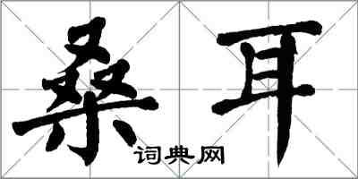 翁闿运桑耳楷书怎么写