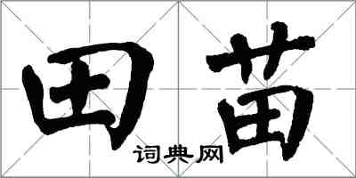 翁闿运田苗楷书怎么写