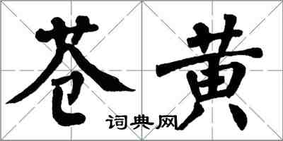 翁闿运苍黄楷书怎么写