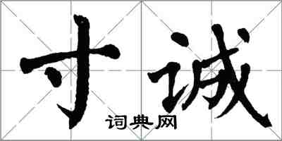 翁闿运寸诚楷书怎么写