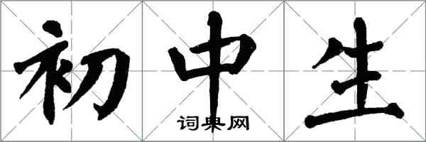 翁闿运初中生楷书怎么写