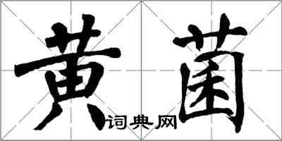 翁闿运黄菌楷书怎么写