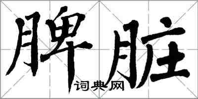 翁闿运脾脏楷书怎么写