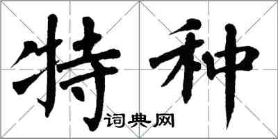 翁闿运特种楷书怎么写