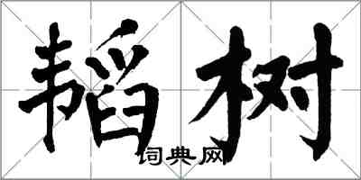 翁闿运韬树楷书怎么写