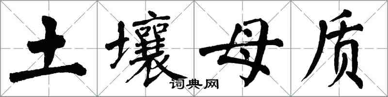 翁闿运土壤母质楷书怎么写