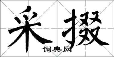 翁闿运采掇楷书怎么写