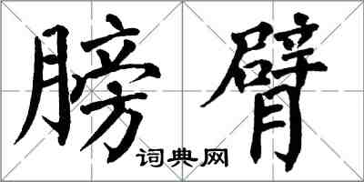 翁闿运膀臂楷书怎么写