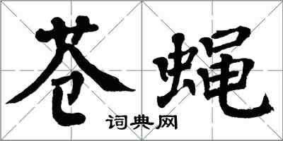 翁闿运苍蝇楷书怎么写