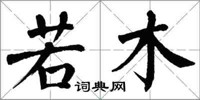 翁闿运若木楷书怎么写