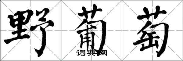 翁闿运野葡萄楷书怎么写