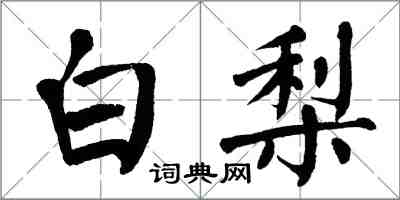 翁闿运白梨楷书怎么写