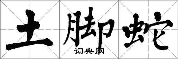 翁闿运土脚蛇楷书怎么写