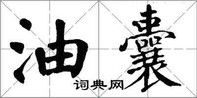 翁闿运油囊楷书怎么写