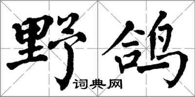 翁闿运野鸽楷书怎么写