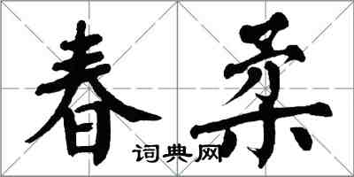 翁闿运春柔楷书怎么写