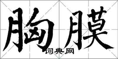 翁闿运胸膜楷书怎么写