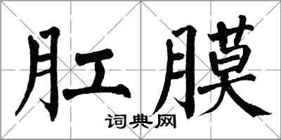 翁闿运肛膜楷书怎么写