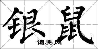 翁闿运银鼠楷书怎么写