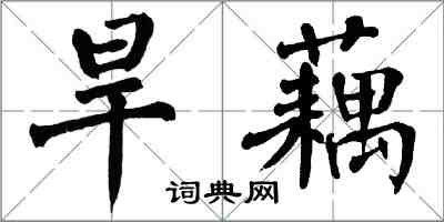 翁闿运旱藕楷书怎么写