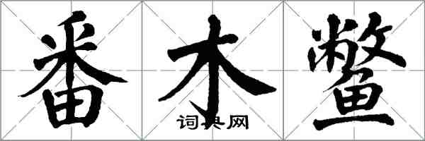 翁闿运番木鳖楷书怎么写