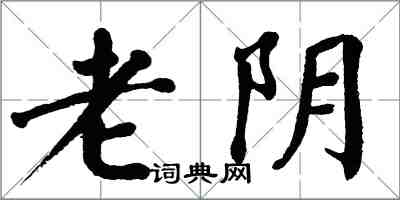 翁闿运老阴楷书怎么写