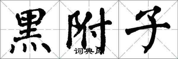 翁闿运黑附子楷书怎么写