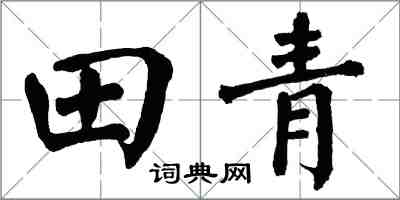 翁闿运田青楷书怎么写