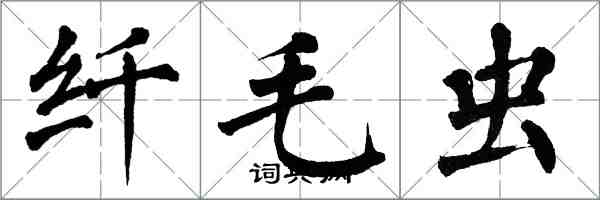 翁闿运纤毛虫楷书怎么写