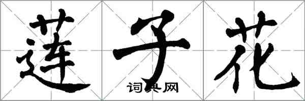 翁闿运莲子花楷书怎么写