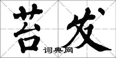 翁闿运苔发楷书怎么写