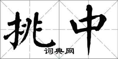 翁闿运挑中楷书怎么写