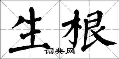 翁闿运生根楷书怎么写