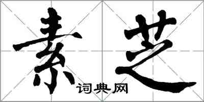 翁闿运素芝楷书怎么写