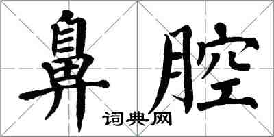 翁闿运鼻腔楷书怎么写