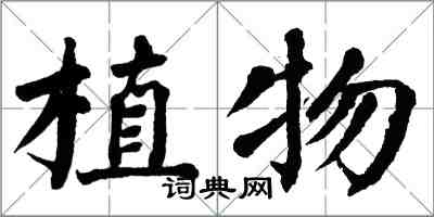 翁闿运植物楷书怎么写