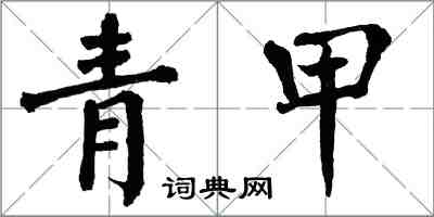 翁闿运青甲楷书怎么写