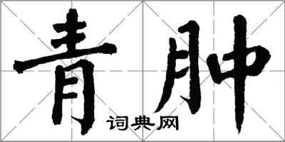 翁闿运青肿楷书怎么写