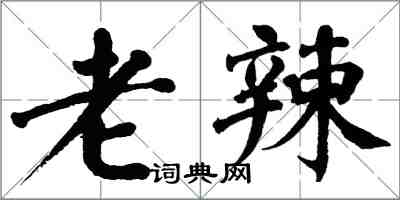 翁闿运老辣楷书怎么写