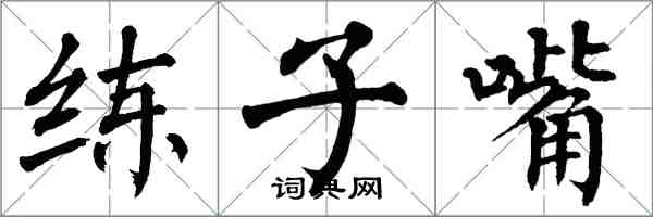 翁闿运练子嘴楷书怎么写