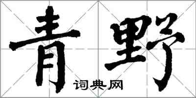 翁闿运青野楷书怎么写