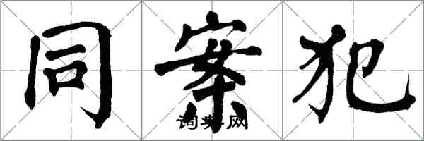 翁闿运同案犯楷书怎么写