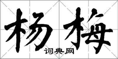 翁闿运杨梅楷书怎么写