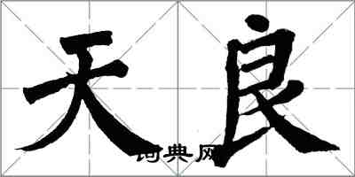 翁闿运天良楷书怎么写