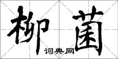 翁闿运柳菌楷书怎么写