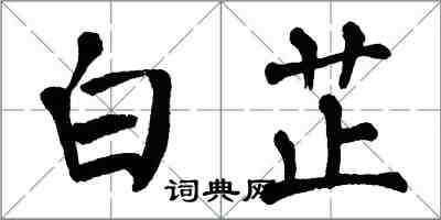 翁闿运白芷楷书怎么写