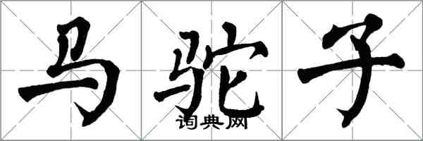 翁闿运马驼子楷书怎么写