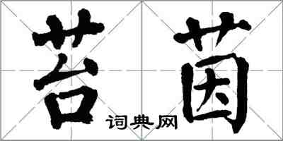 翁闿运苔茵楷书怎么写